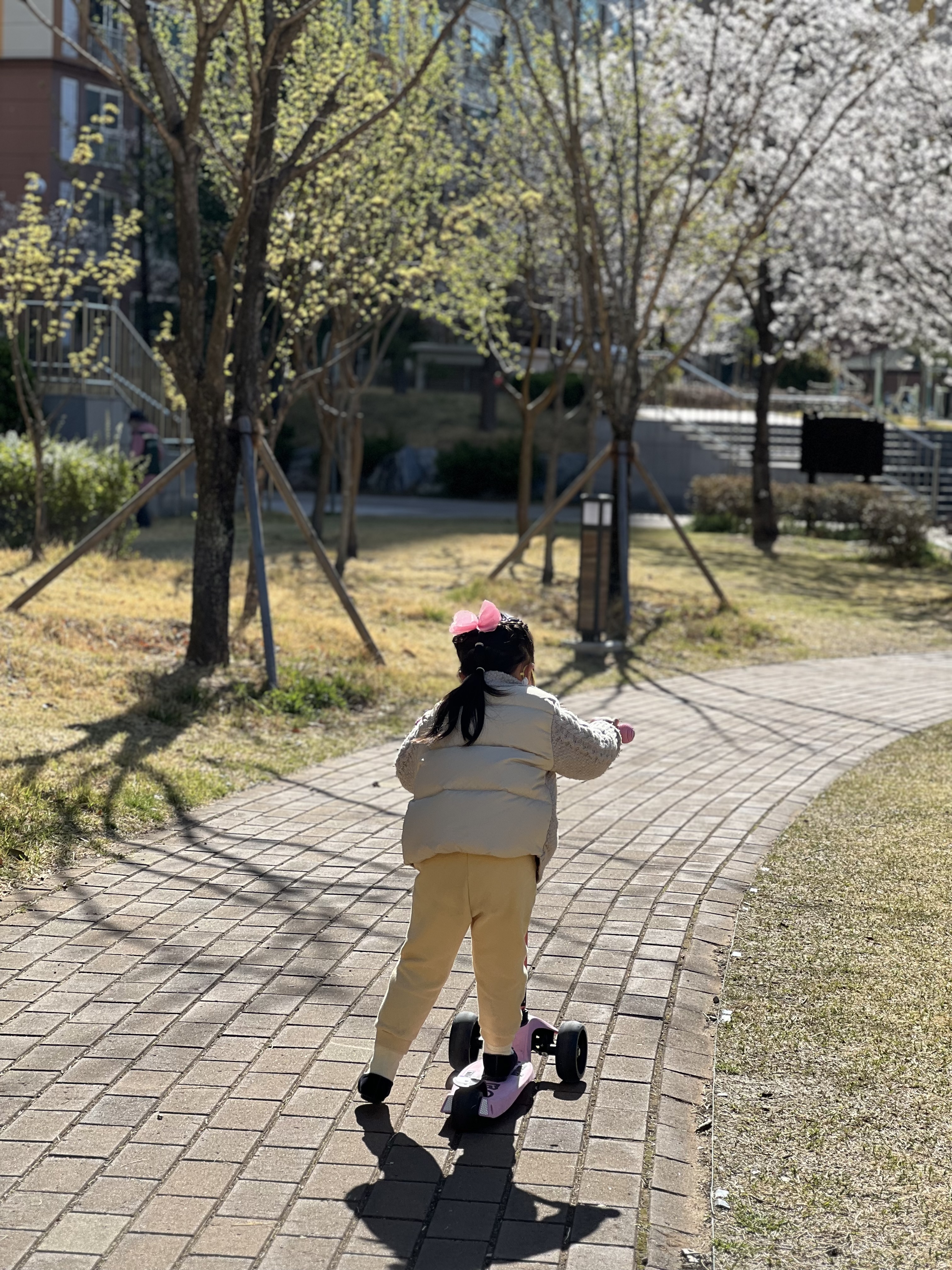 마이크로 킥보드 맥시T 디럭스