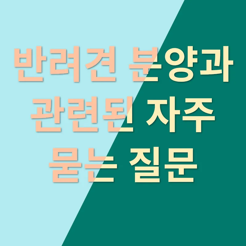 반려견 분양_4