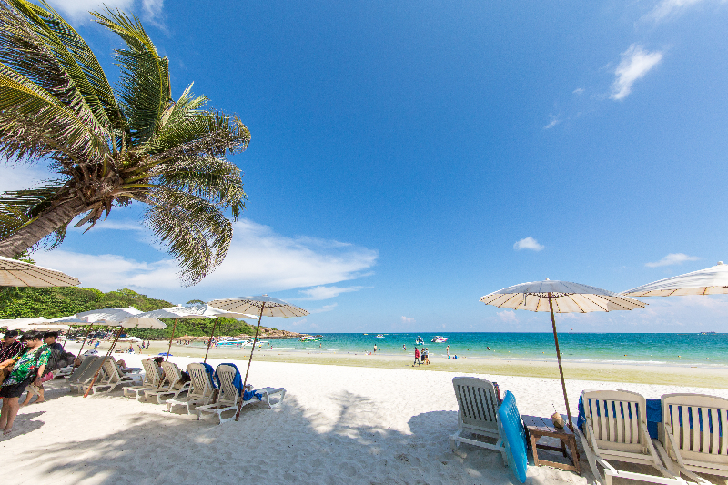 태국 방콕 파타야 여행