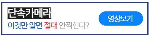 단속카메라-피하는법