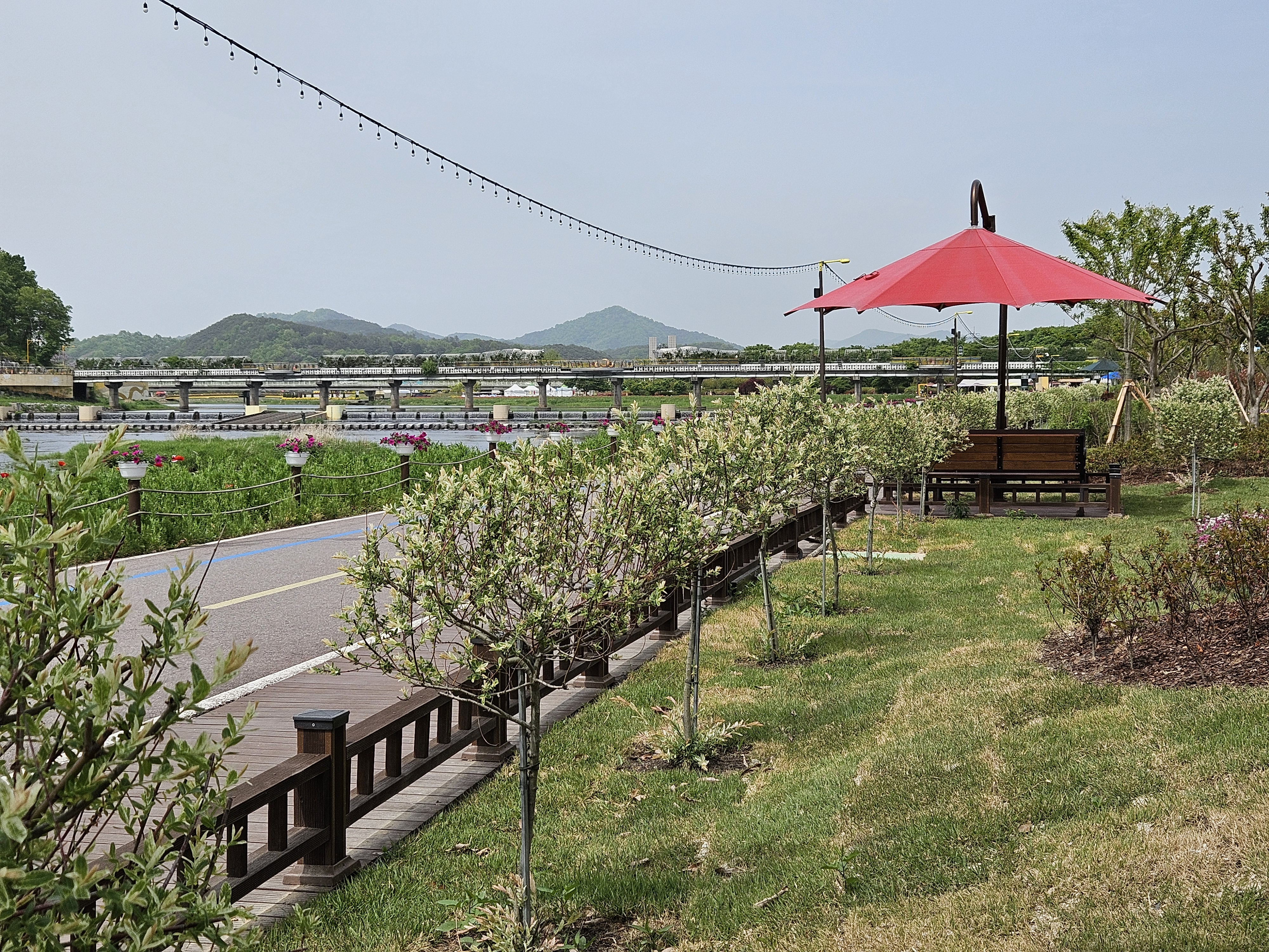 장성 여행 '알뜰 꿀팁'! 숙박 할인 + 특별 좌석… 꽃길축제 200% 즐기기!