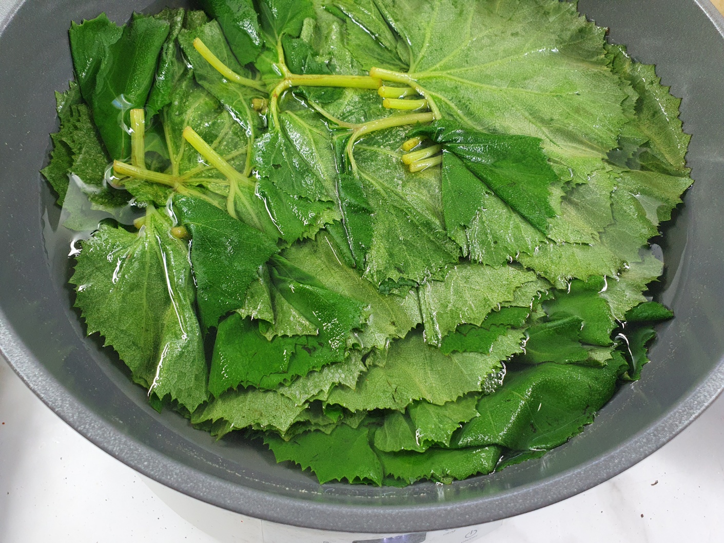 머위나물 장아찌 담는법
