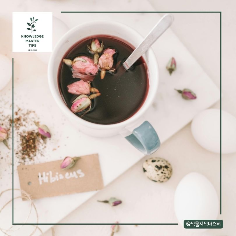 일상 속 활용법과 주의사항