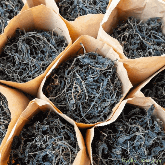 혈관건강에 도움이 되는 곤드레