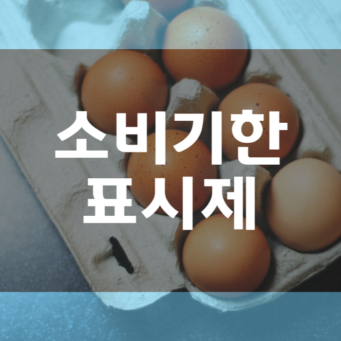 소비기한 표시제
