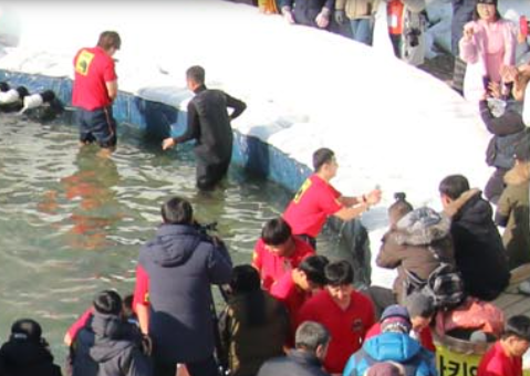산천어축제