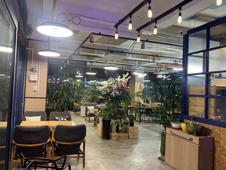 알리바바 입구 자리 및 꽃, 식물