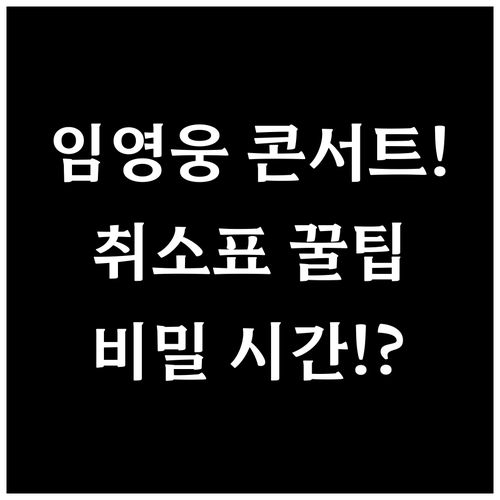 매진된 임영웅 대전 콘서트 취소표 잡..