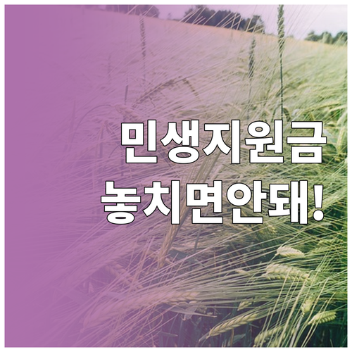 2026년 민생지원금 신청 방법과 놓..