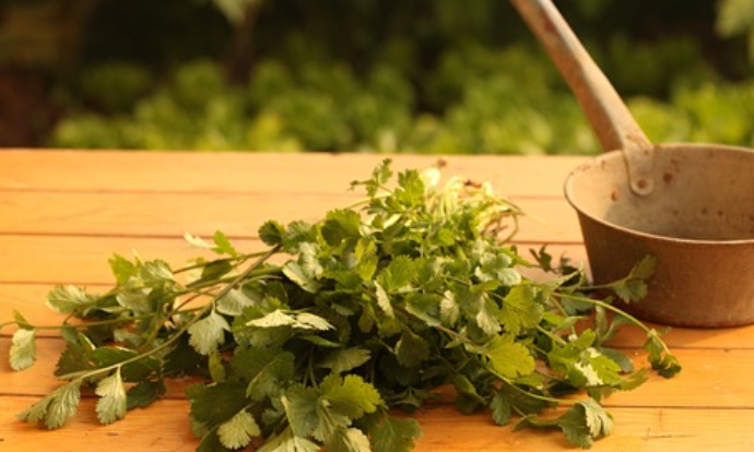 고대 중국과 이집트에서 행해진 반사요법(발 마사지 치료법)