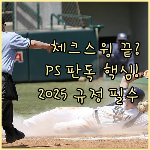 2025 KBO 포스트시즌 비디오 판..