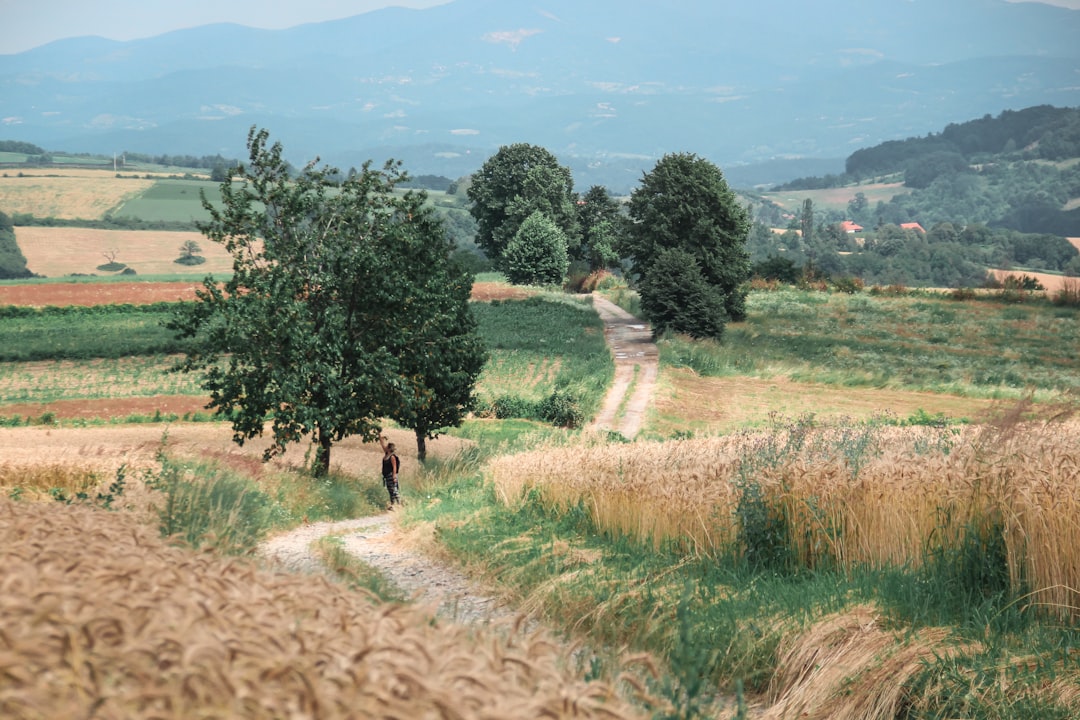 Rural