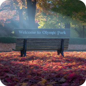 서울&middot;수도권 당일치기 단풍 여행 명소 이미지