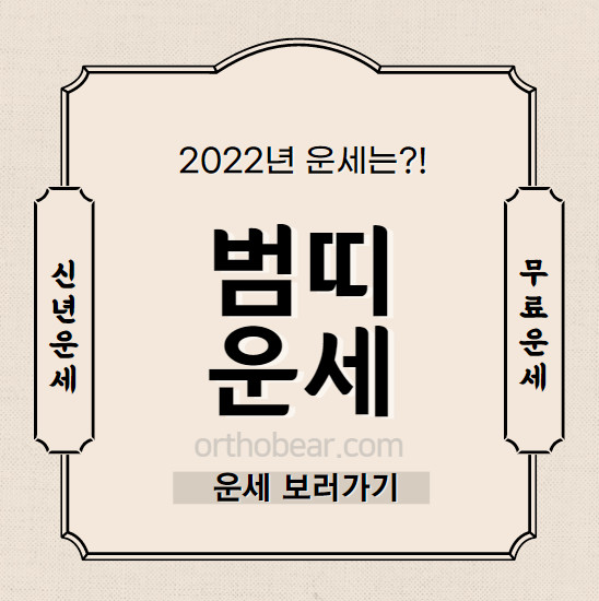 2022년 범띠 운세