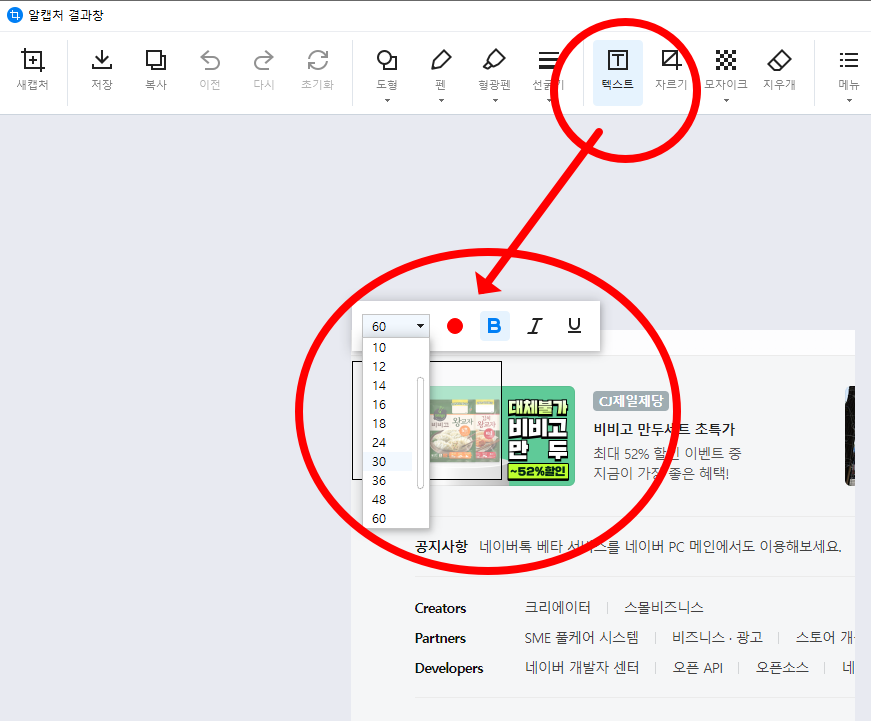 알캡쳐 사용하는 방법