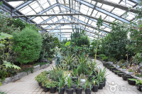 한국도로공사 수목원