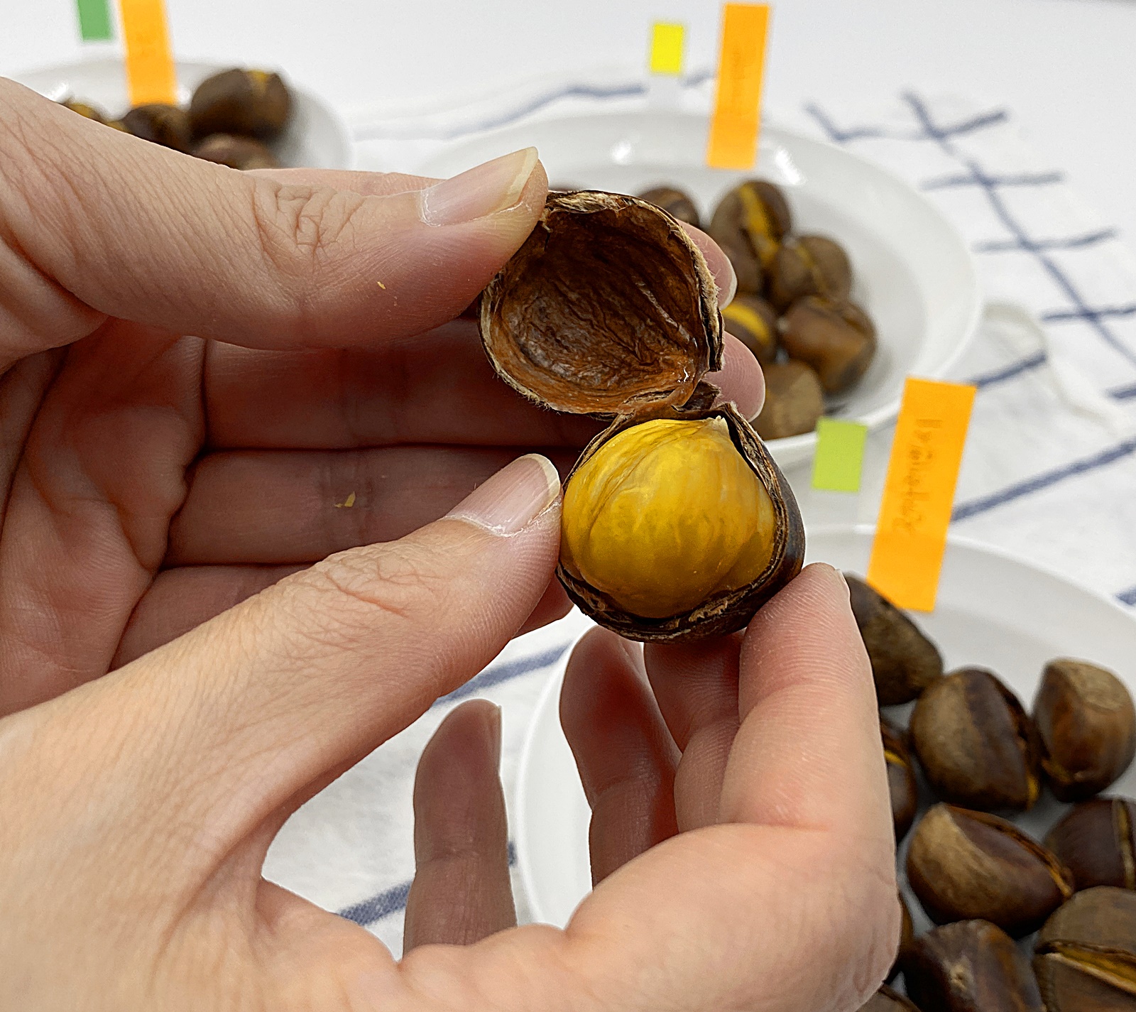 약단밤 조리법 비교 2