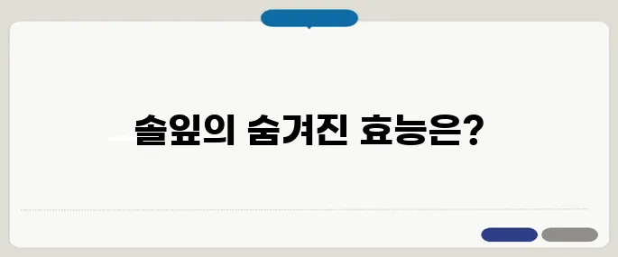 솔잎 효능 확인하기 폐 건강과 면역력에 도움된다고 해요