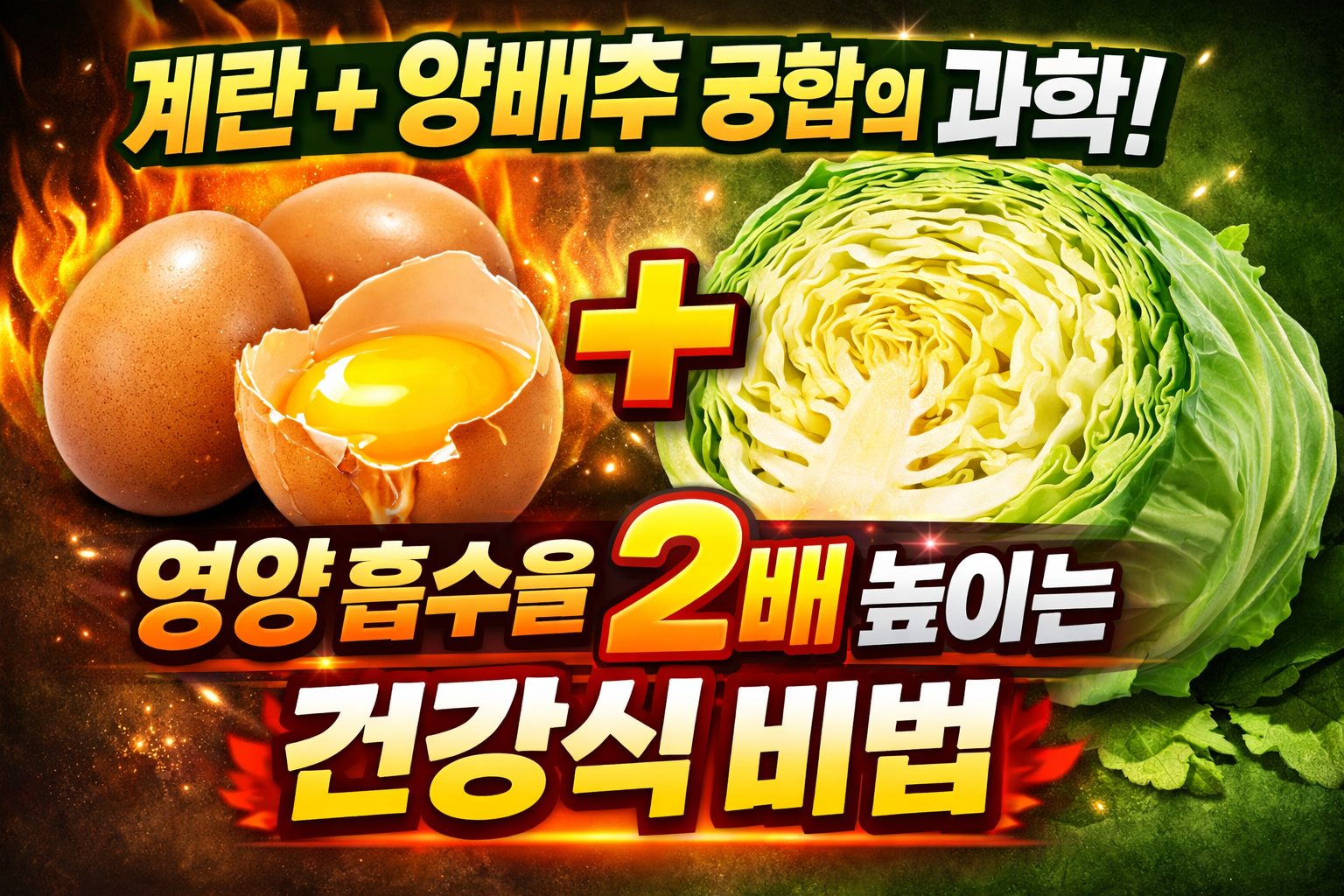 계란+양배추
