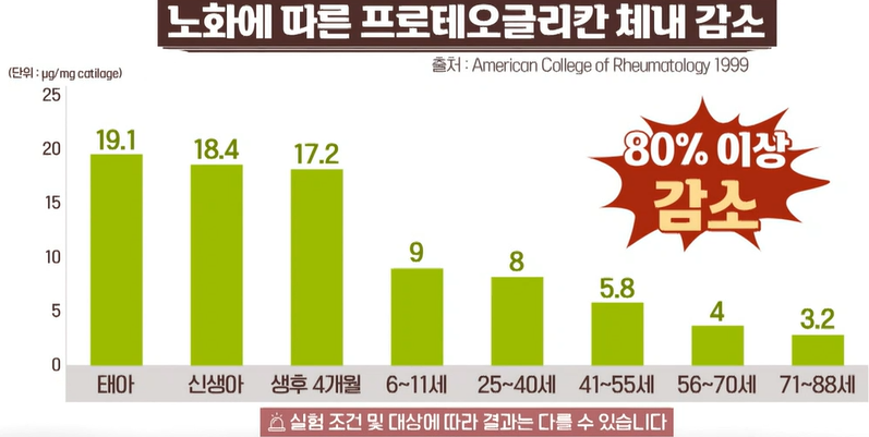 프로테오글리칸