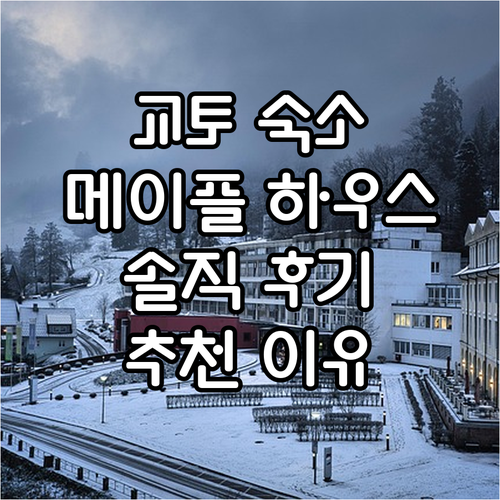 교토 플로럴 그린 메이플 하우스 추천..