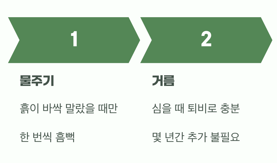 비결 3. 과한 사랑은 금물, '물'과 '거름'