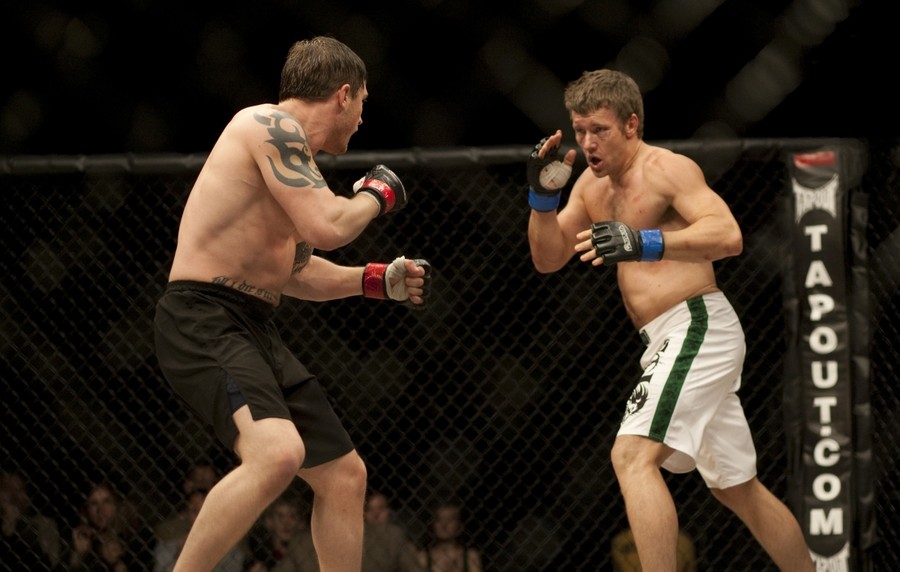 영화 워리어 스틸컷