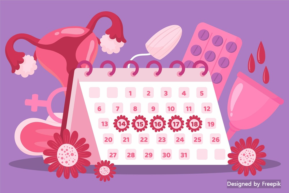 임신테스트기 사용시기