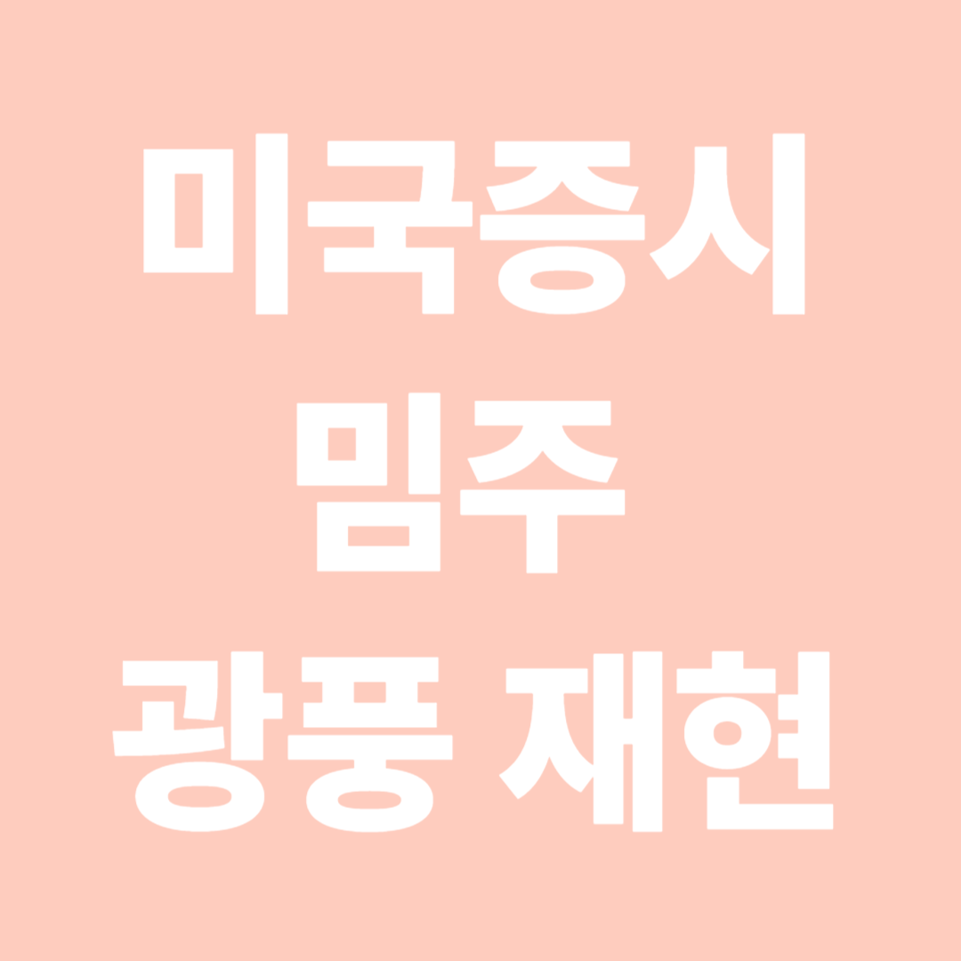 미국증시 밈주 광풍 재현