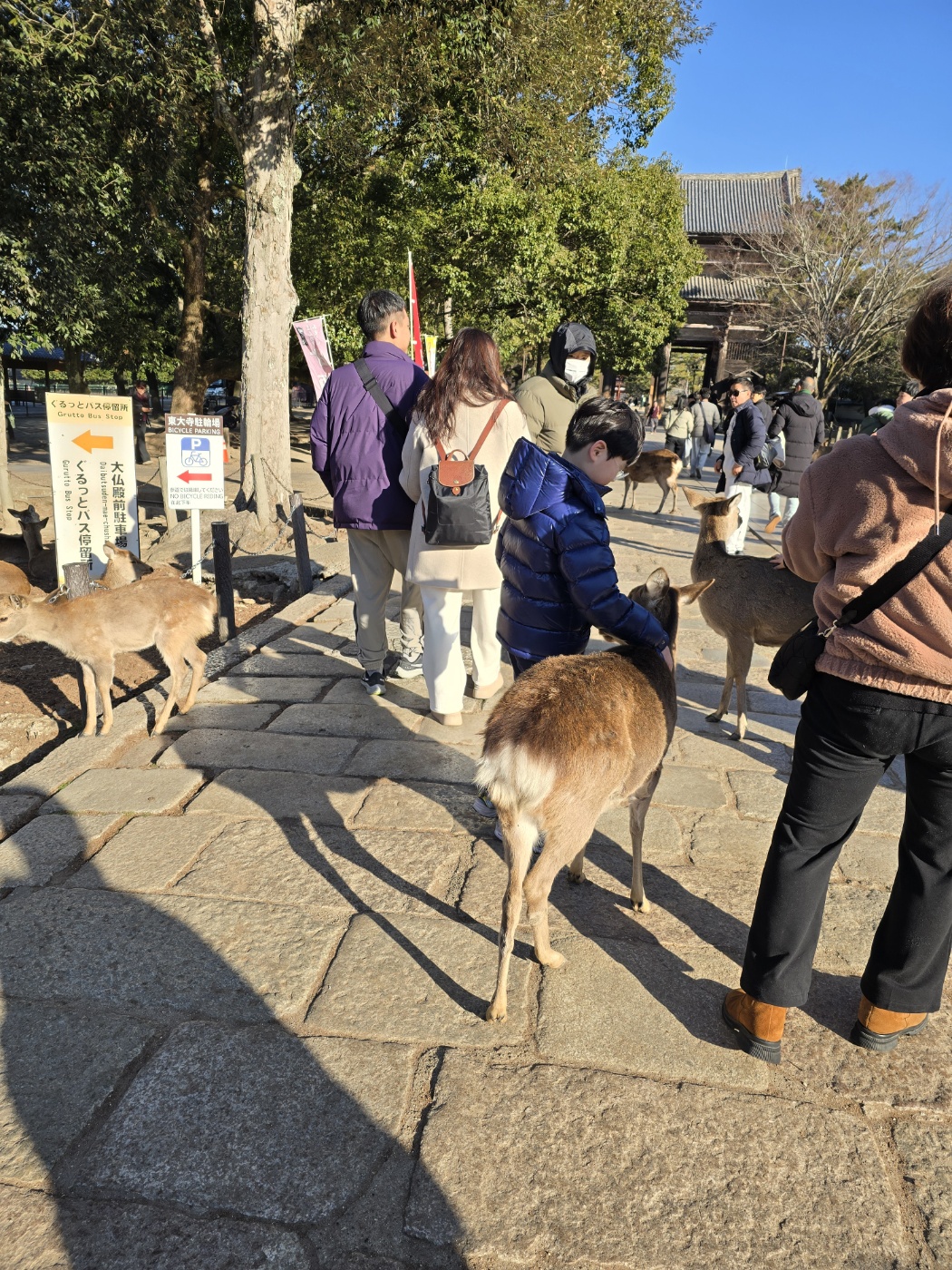 동대사 입구와 사슴들 모습 이미지