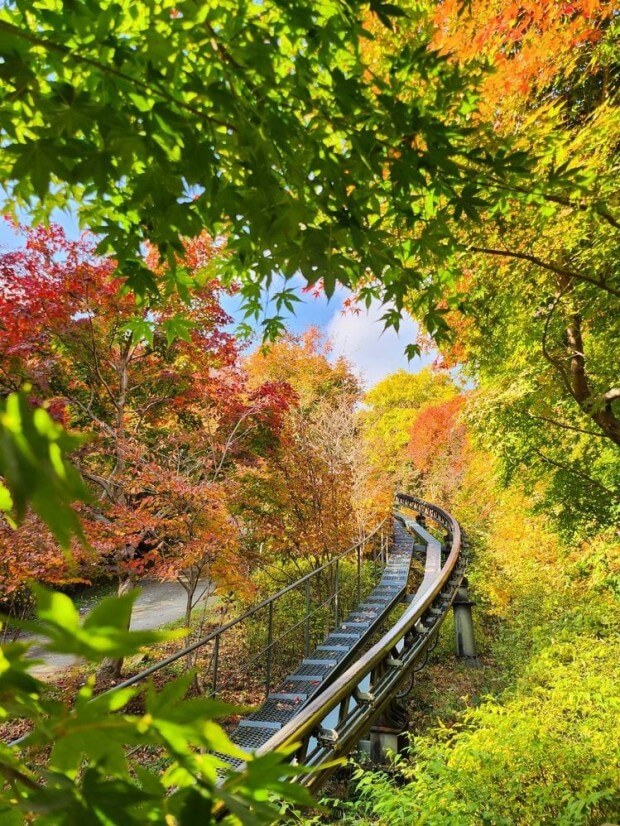 화담숲 예매하기