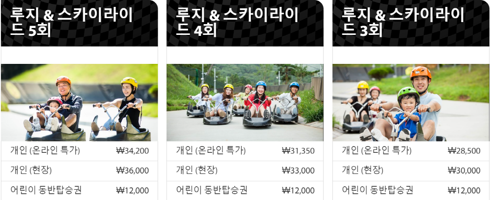 통영 루지 가격