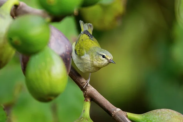 퀴블러로스 죽음 5단계 이론 문제 심리_2