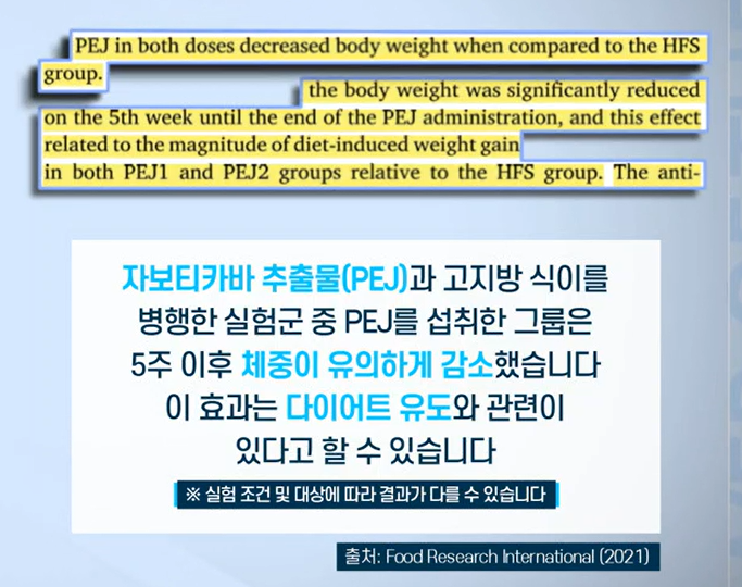 자보티카바 효능