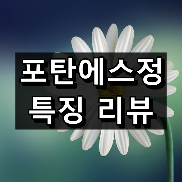 포탄에스정 대표이미지