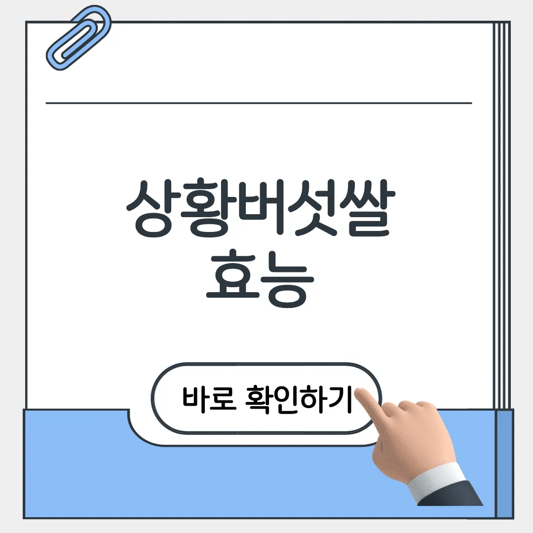 상황버섯쌀 효능