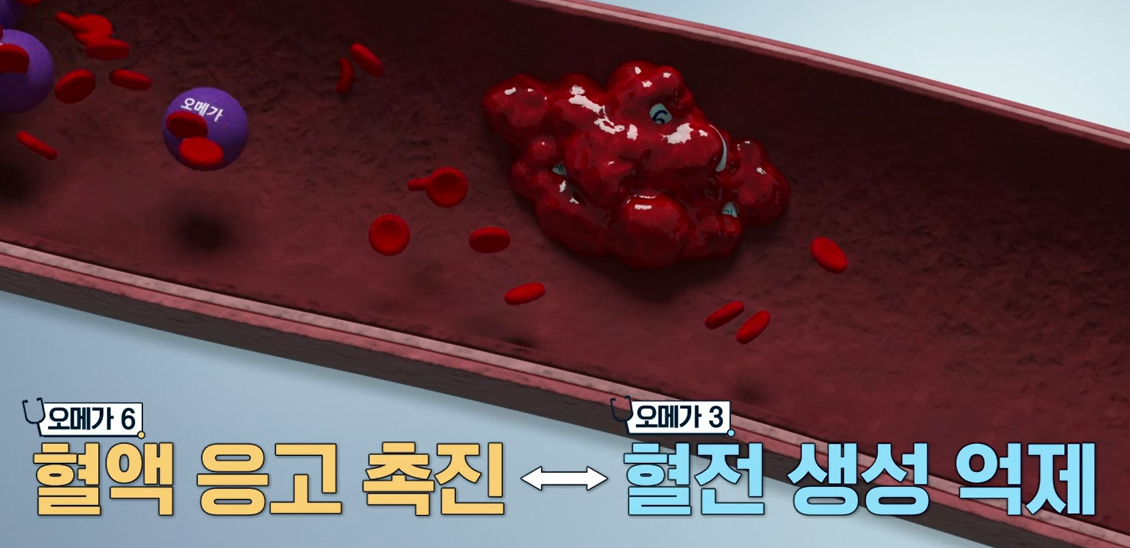 대마종자유 효능