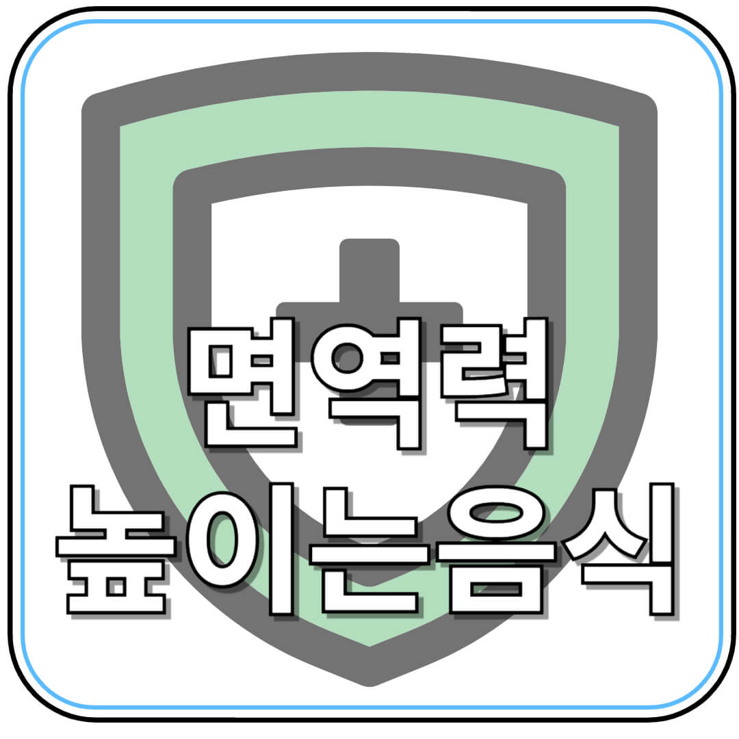 면역력 높이는 음식과 생활습관 총정리