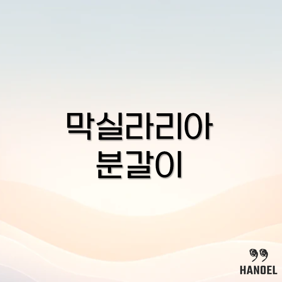 막실라리아 분갈이