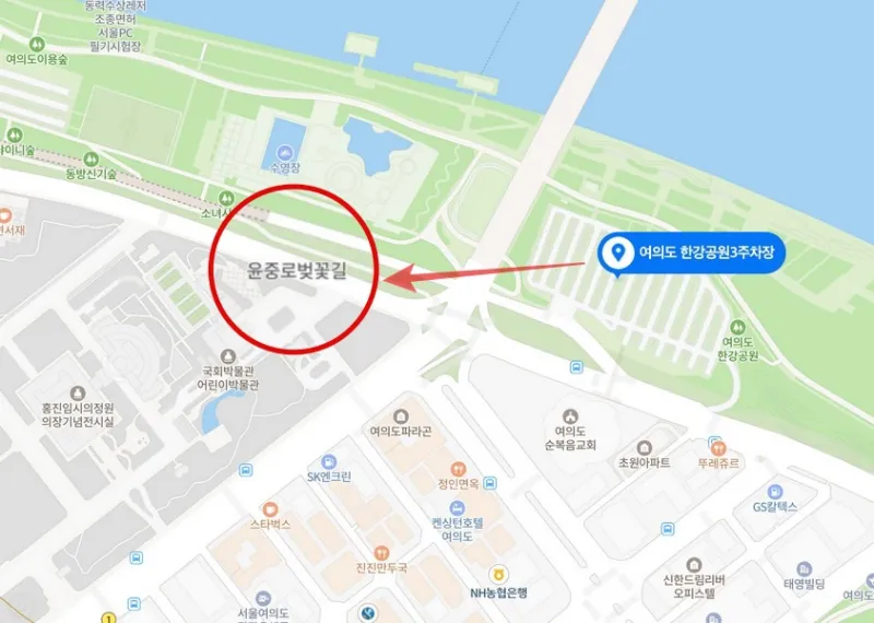 여의도벚꽃축제 주차장