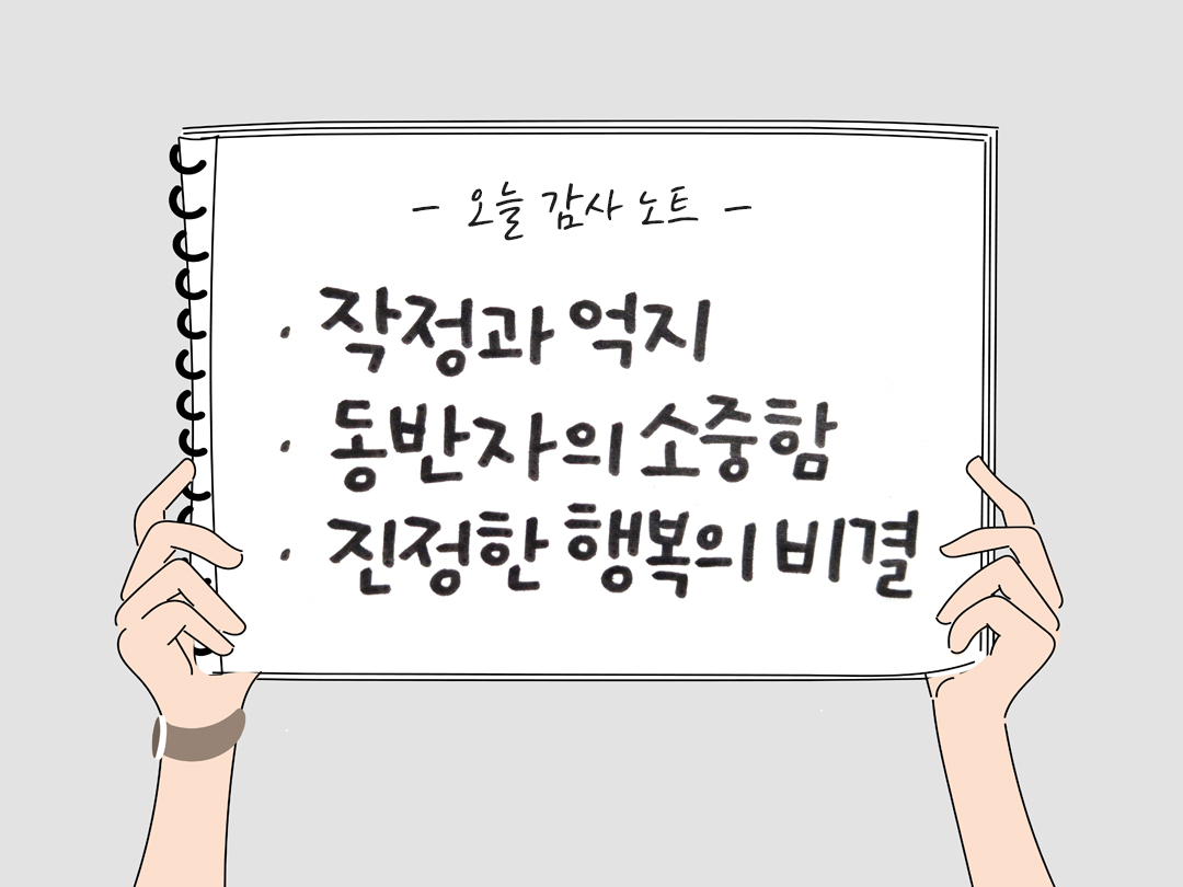 오늘 감사한 순간들, 일상 속 숨겨진 보물찾기