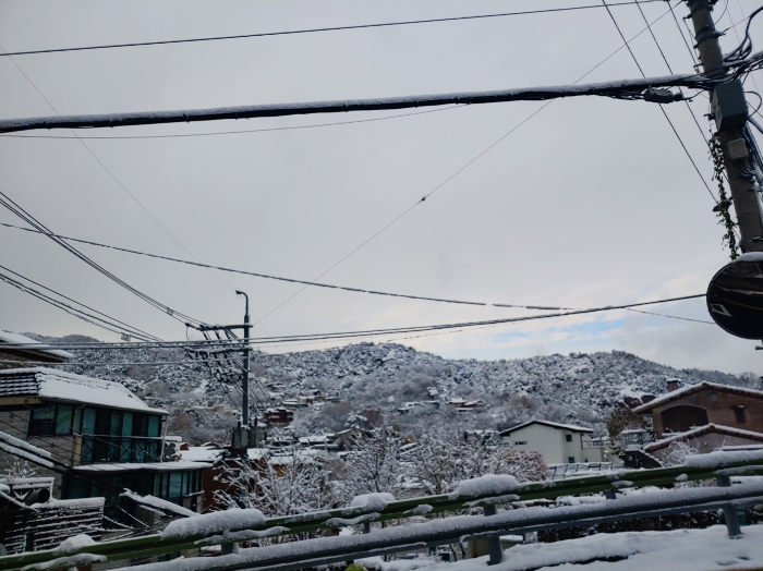 자하손만두에서-바라본-눈온-풍경