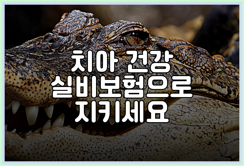 치아 건강 실비보험으로 지키세요
