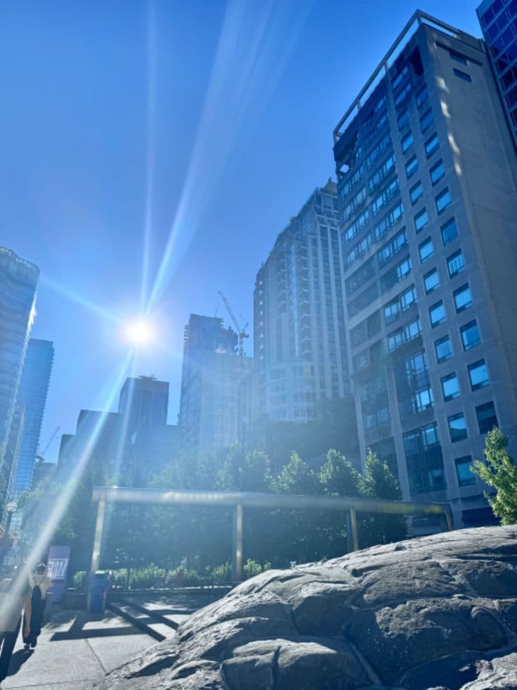 햇볕이 왜 이리 강하지? 일조량 차이가 만든 미세 기후의 불균형