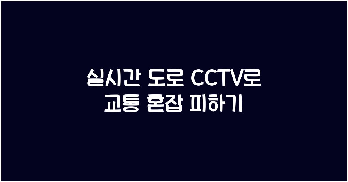 실시간 도로 cctv