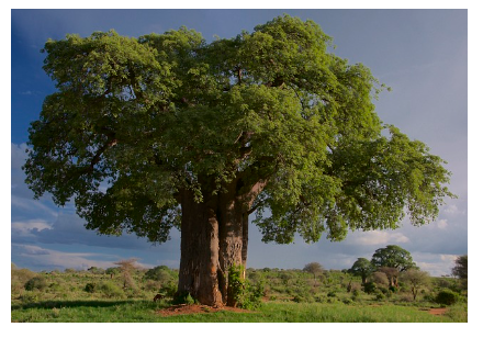 에코투어리즘의 성지: 자연과 공존하는 여행지 TOP 5