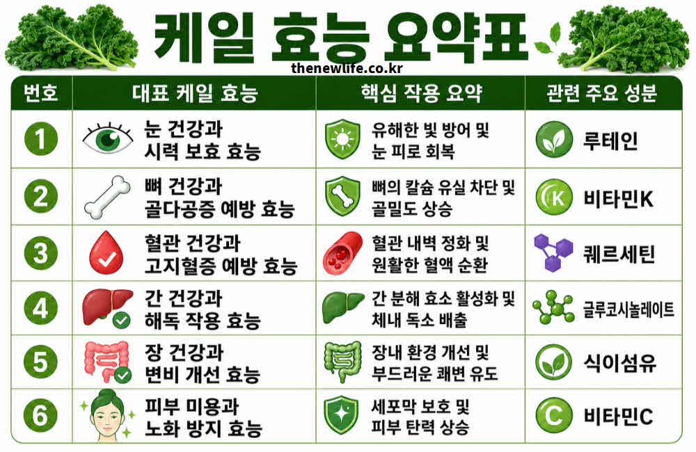 케일 효능 요약표