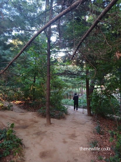흙이 드러난 서울 어린이대공원 숲길에서 맨발로 산책하는 사람, 서울 맨발 걷기 좋은곳