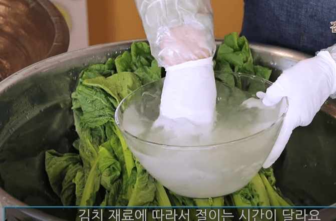 갓김치 담그는법 황금 레시피