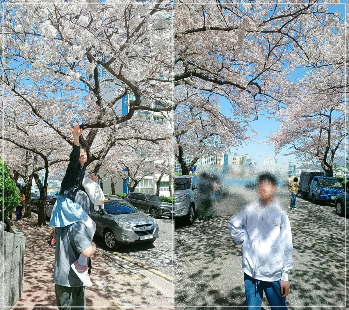 삼익비치-벚꽃-포토